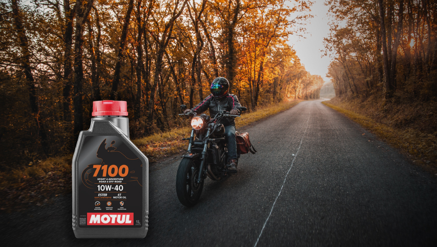 Choosing the Ideal Engine Oil for Your Kawasaki W175